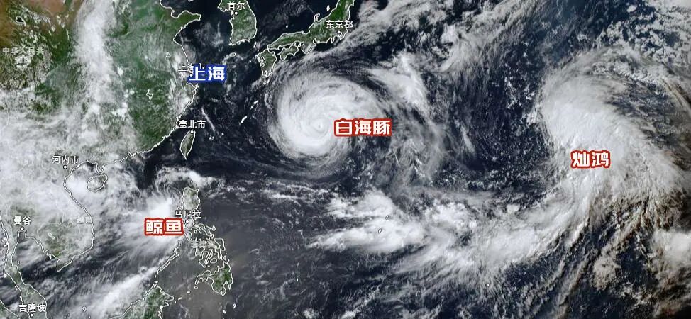 Category 17 Typhoon Dolphin is approaching! Lifesaving driving tips: Is your windshield wiper up to the task?(图2) Category 17 Typhoon Dolphin is approaching! Lifesaving driving tips: Is your windshield wiper up to the task?(图2)